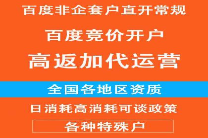 搜索引擎营销（SEM）的投放策略与效果评估——以某行业领先企业的案例分析